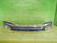 DSCN9223.jpg