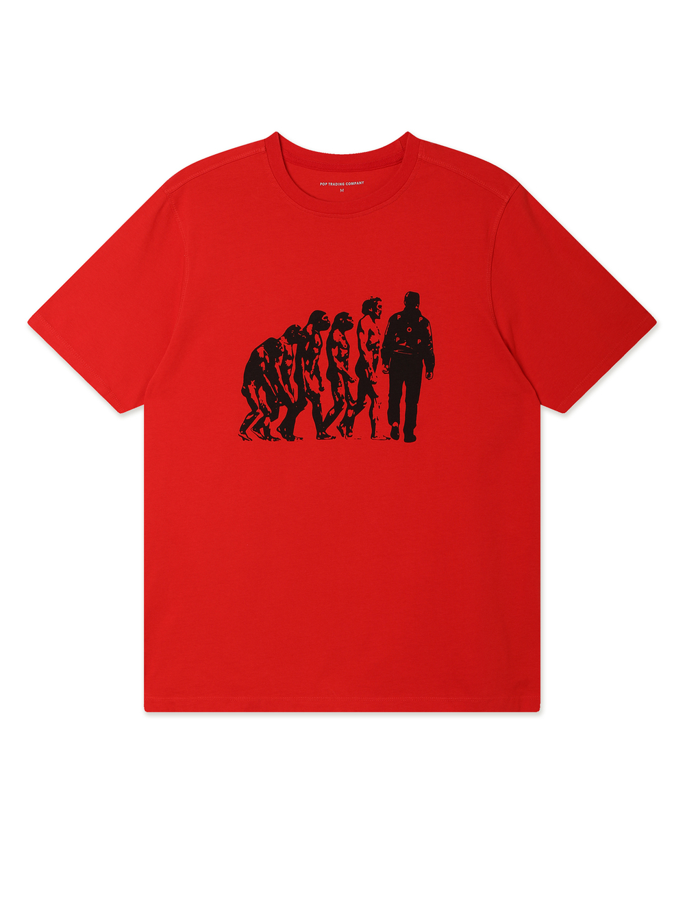 Мужская Футболка Evolution