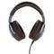 Focal Hadenys Brown + FiiO JM21 (4+64GB) Sky Blue