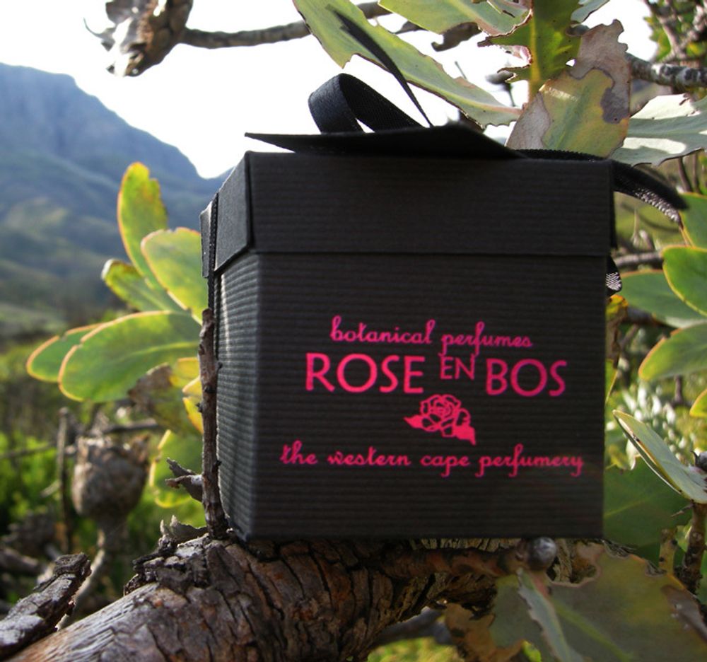 Rose en Bos Imithi