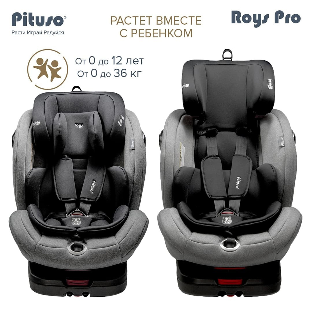 Pituso Удерживающее устройство для детей 0-36 кг Roys Grey, Black Inlay