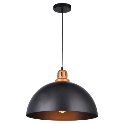 Подвесной светильник Arte Lamp EURICA A4249SP-1BK, 1хE27