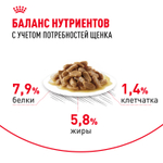 Royal Canin Mini Puppy Мини Паппи Корм влажный для щенков мелких пород в возрасте до 10 месяцев соус 85г