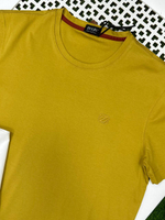 Футболка Zegna