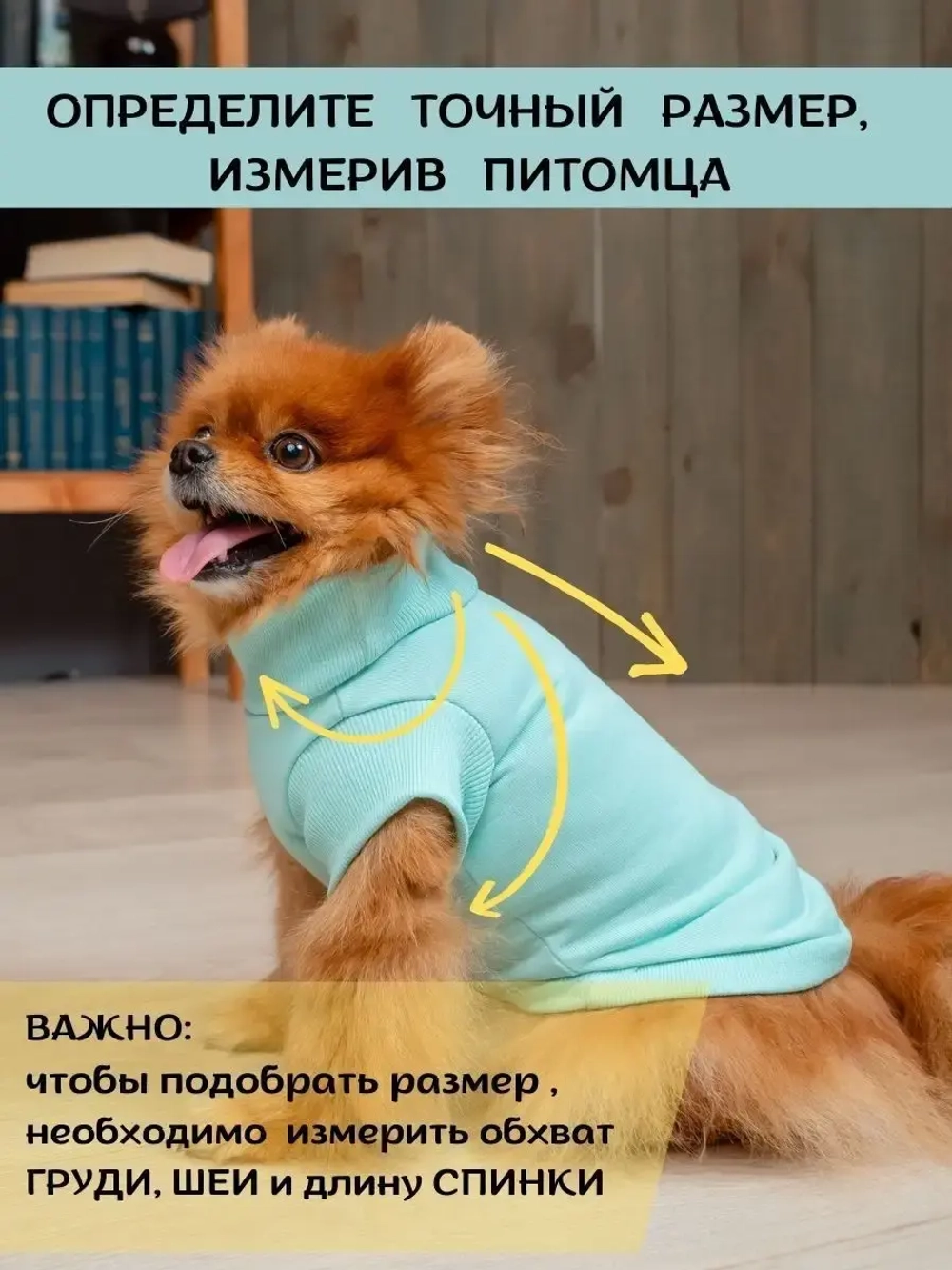 Футболка для собак мелких средних пород и кошек