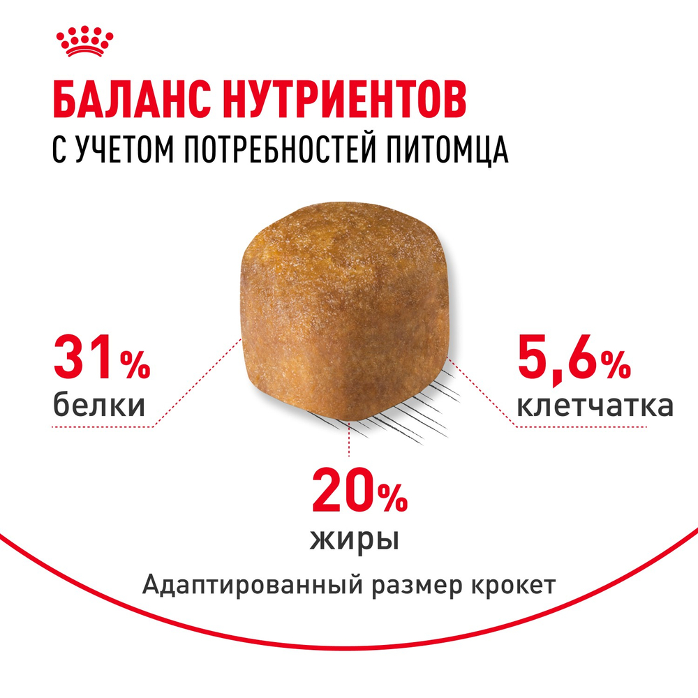 Royal Canin Maine Coon Adult Мейн Кун Эдалт Корм сухой для взрослых кошек породы Мэйн Кун 10кг