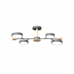 Потолочный cветильник LED4U L3213-670 GR