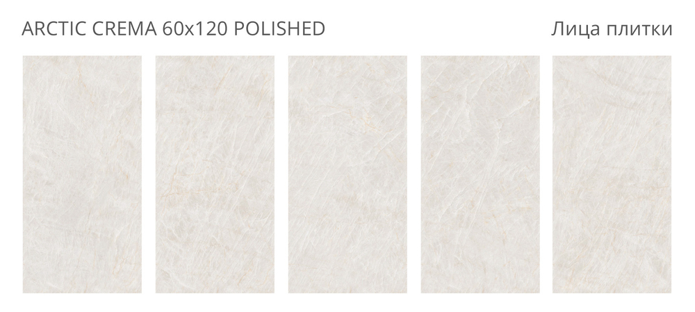 ARCTIC CREMA 60x120 POLISHED