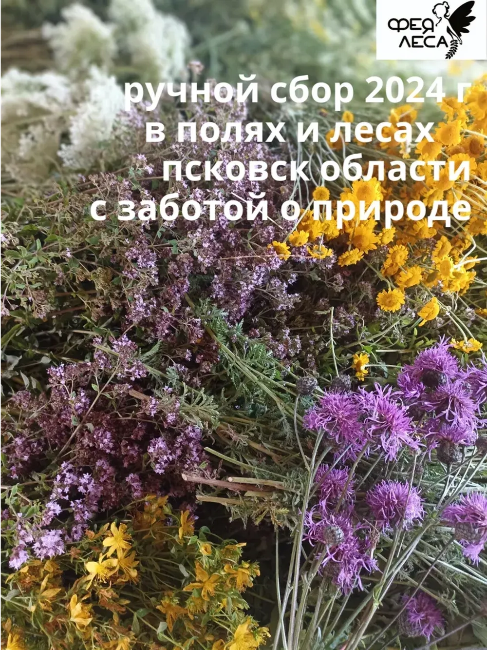 Иван-чай с лавандой и мятой
