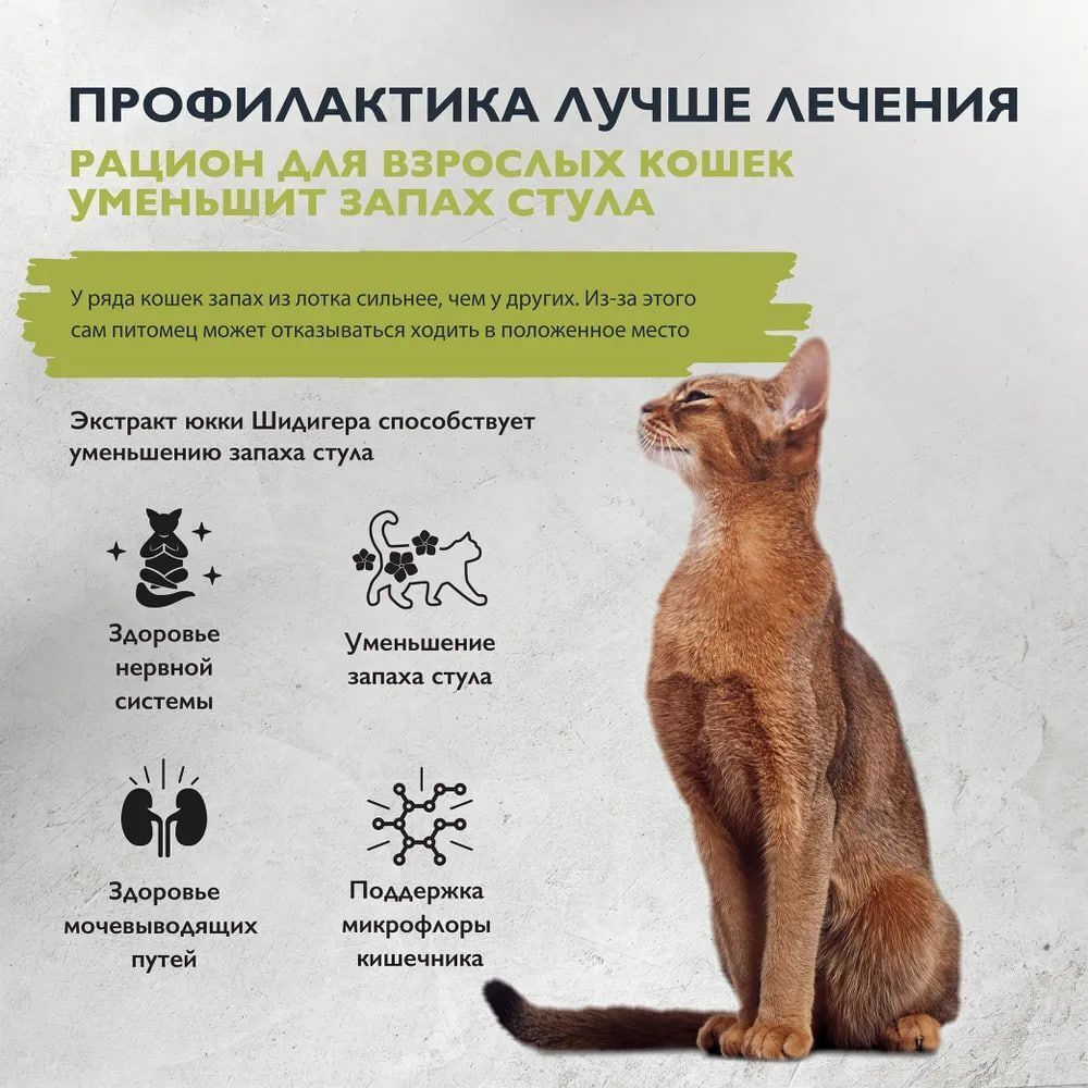 Сухой корм для взрослых домашних кошек Brit CARE Cat Indoor Stool Odour Reduction, лососем и индейкой 1,5кг