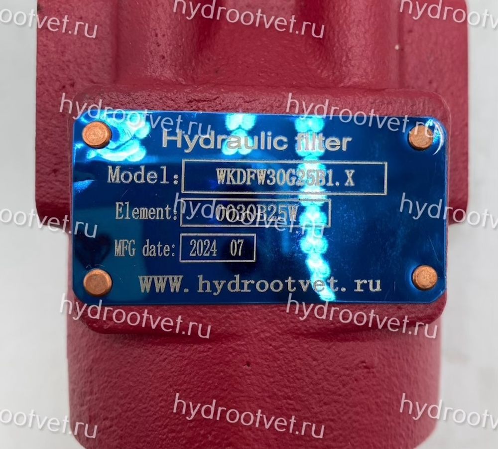 DFW30G25B1.X - Напорный фильтр гидравлический одинарный модели DF тонкость фильтрации 25 мкм, типоразмер 30, вид присоединения: резьба G1/2, материал корпуса - чугун, рабочее давление до 420 бар, визуальный индикатор загрязнения