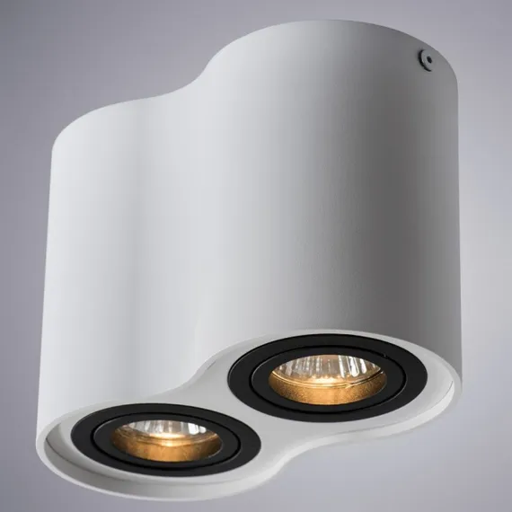 Точечный светильник Falcon A5644PL-2WH Arte Lamp
