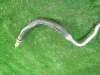 DSCN0611.JPG