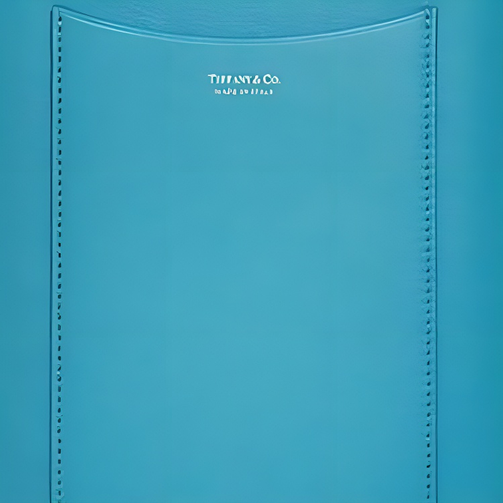 TIFFANY & CO. Twill Leather Tablet Bag Small Unisex Blue