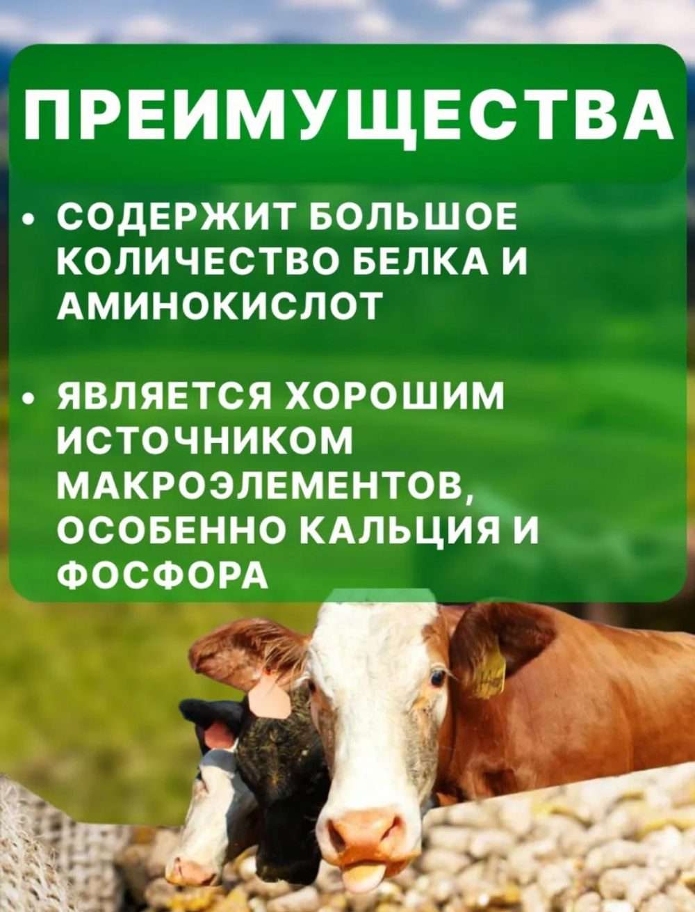 Мясокостная мука для куриц, собак, кошек,600 гр
