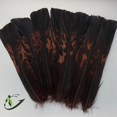 Хвостовое перо глухаря крашеное, цвет Brown