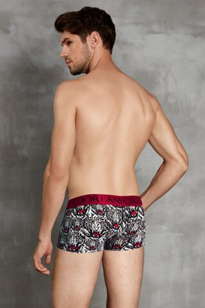 Трусы-хипсы Doreanse Wild Tiger (Размер: XL) (Цвет: черный)