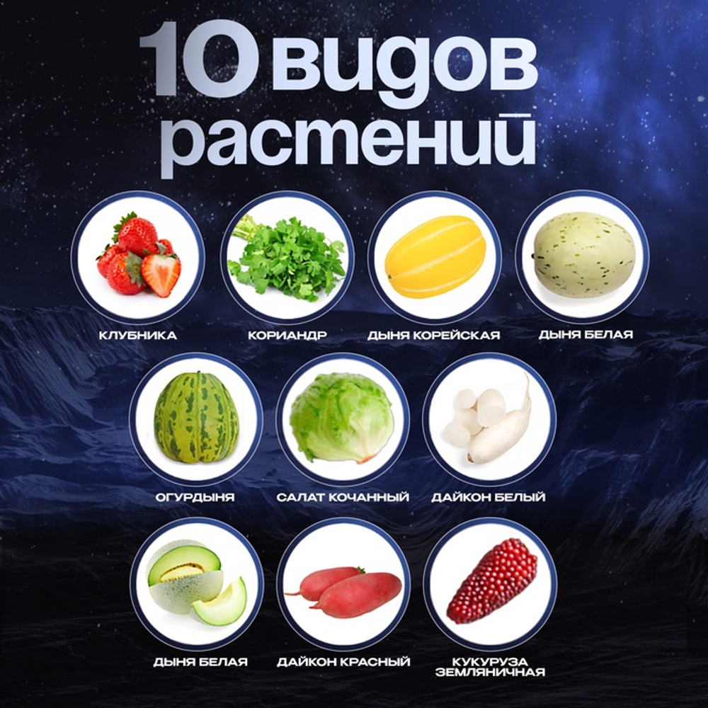 Набор для опытов «Моя мини-ферма», выращивание растений, в космосе