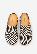 mule zebra noire