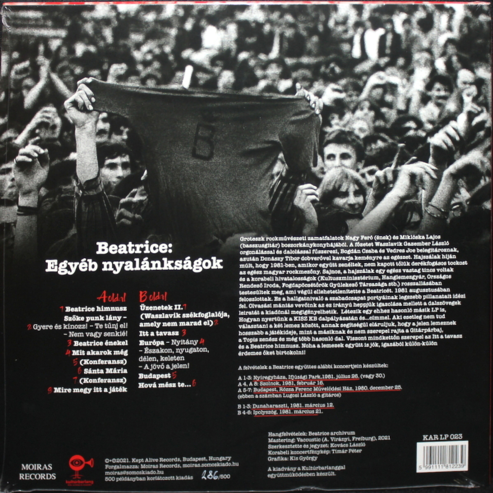 Beatrice / Egyeb Nyalanksagok (LP)