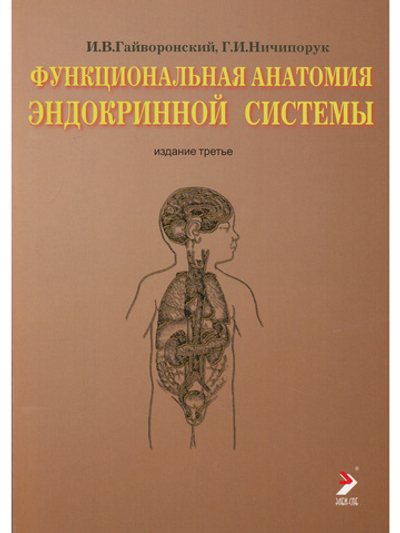 Функциональная анатомия эндокринной системы. Учебное пособие. 3-е изд.