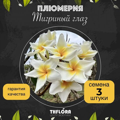 Плюмерия "Тигриный глаз" семена 3 штуки