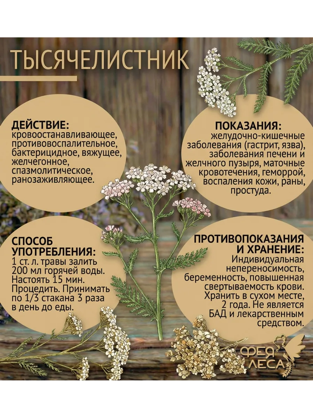 Тысячелистник для чая, магии, окуривания и творчества