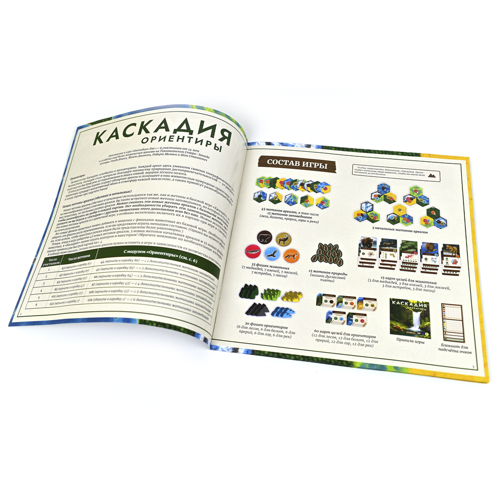 Каскадия. Ориентиры-16229-crowdgames.ru-13