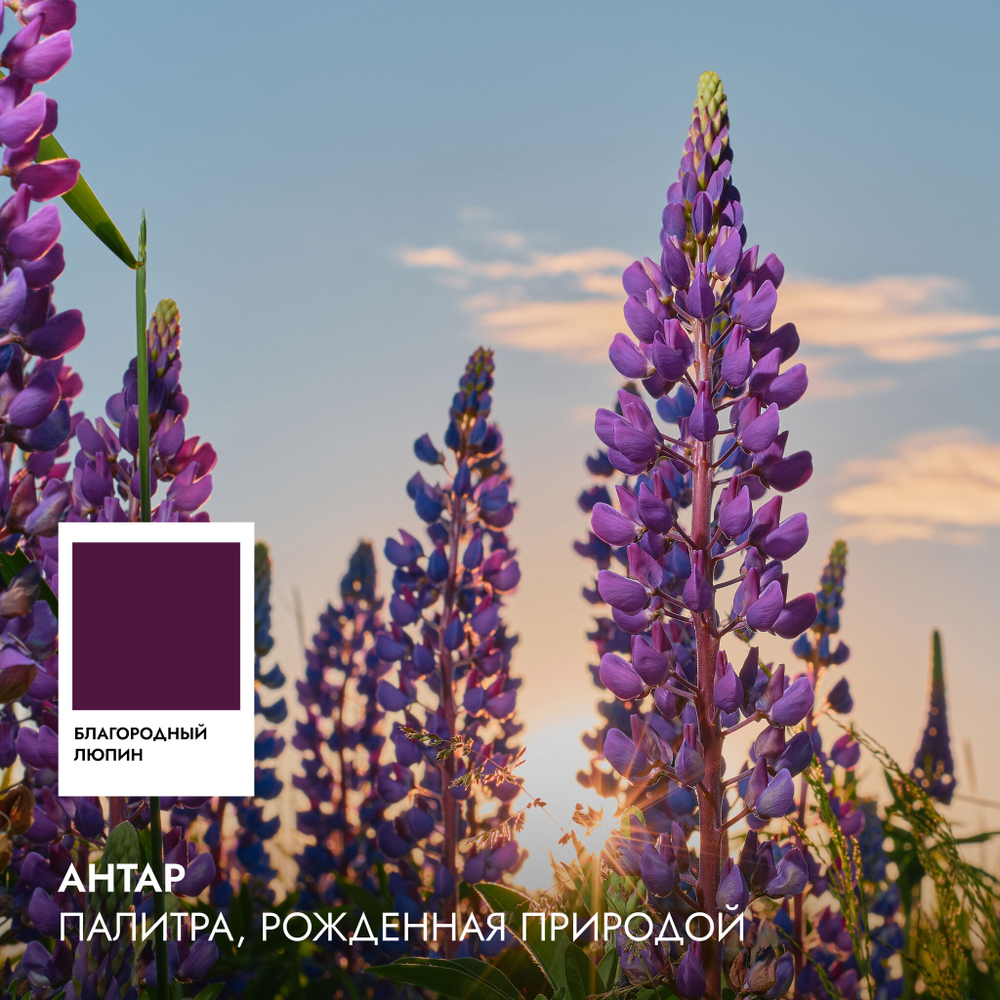 Вся коллекция Антар 7,5 г