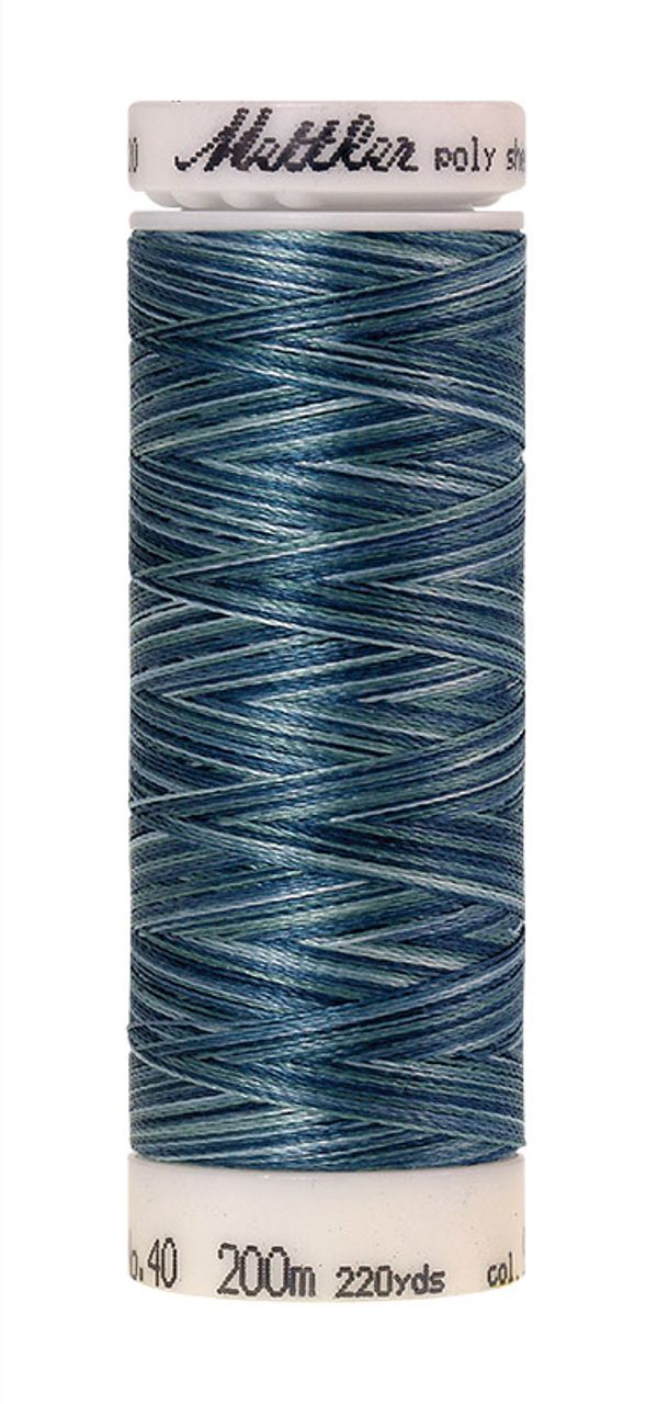 Нить вышивальная Mettler Poly Sheen Multi 40 (200 м), 5 кат. | цв. 9928
