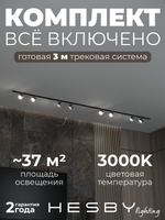 Комплект трековый Hesby Lighting Skylite No13 HSBL_kompl_S013_VI3B3K