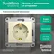Розетка с заземлением и защитными шторками Systeme Electric Glossa Бежевый GSL000245
