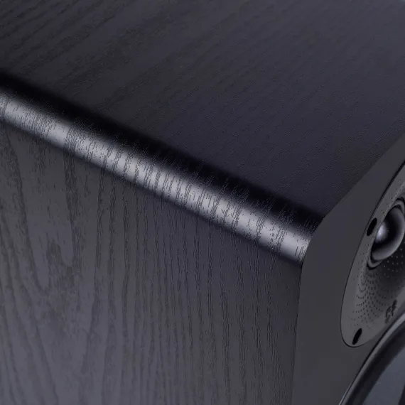 Radiotehnika S-20M Black Ash