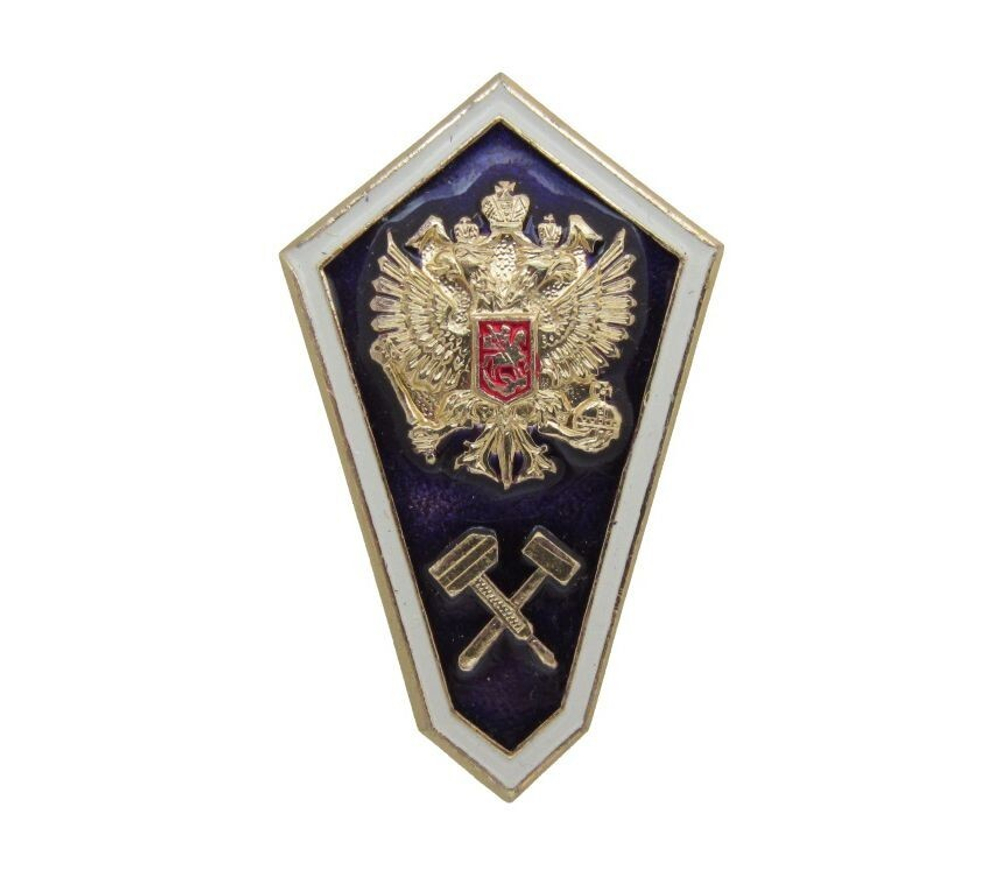 Значок алюминиевый гробик среднее техническое образование (синий)