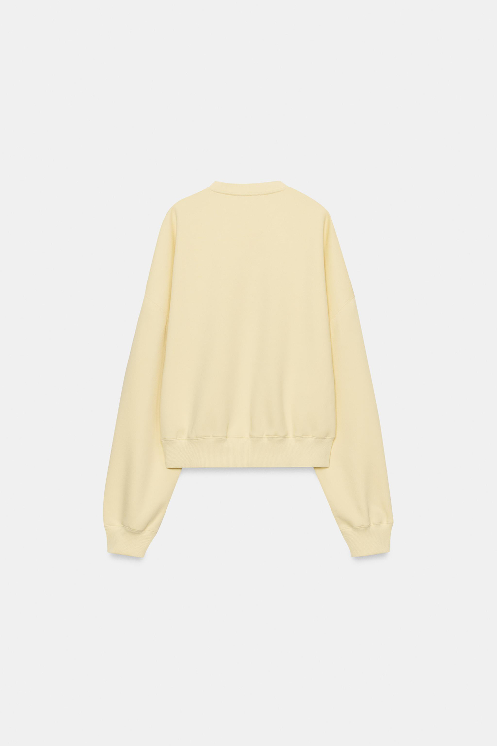 БАЗОВАЯ ТОЛСТОВКА — ZARA