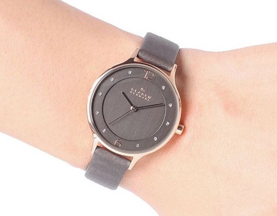 Наручные часы Skagen SKW2267