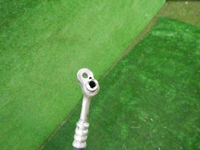 DSCN8684.JPG