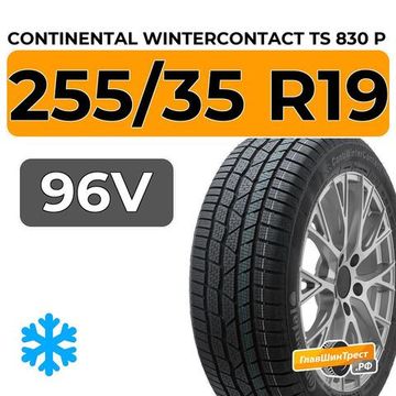 Continental WinterContact TS 830 P 255/35 R19 96V XL