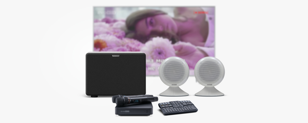 Evolution EvoBox Plus с микрофонами и стереосистемой