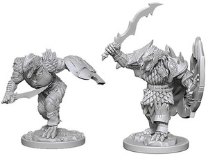 Dragonborn Male Fighter / Драконорождённые воины
