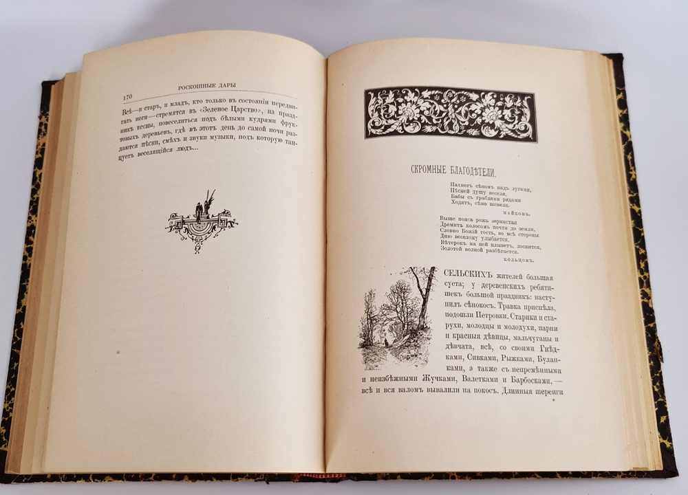 "Из зеленого царства. Популярные очерки из мира растений". Д.Н.Кайгородов. 1902г.