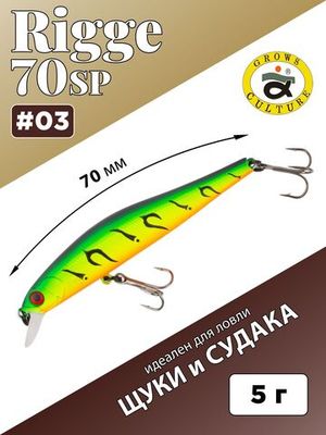 Rigge 70sp