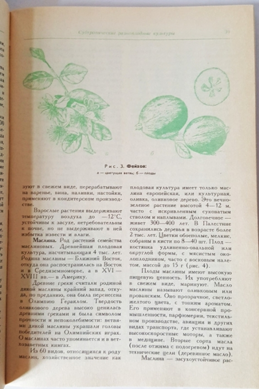 "Занимательное садоводство". Жданович Б.Д, Жданович Л.И