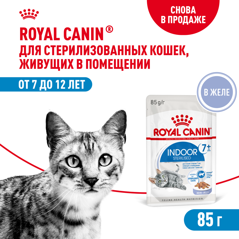 Royal Canin Indoor Sterilized 7+ Индор стерилайзд Корм влажный для стерилизованных кошек в возрасте от 7 до 12 лет живущих в помещении желе 85г