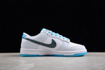 Nike Dunk Low "520"