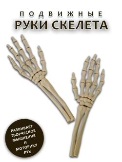 Руки скелета