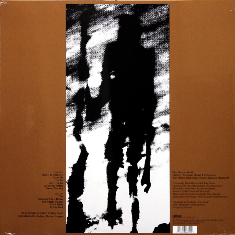 Tony Banks / A Curious Feeling (LP)