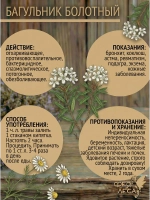 Багульник болотный (побеги) для очищения и защиты