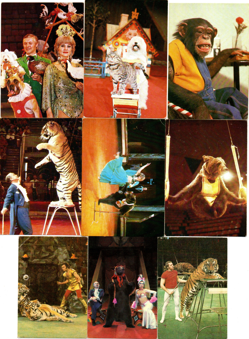 Календарики карманные 25 штук. Цирк 1981 - 1983 гг.