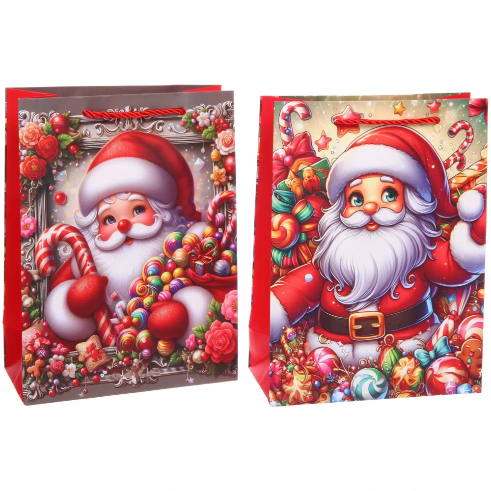 Пакет подарочный «Санта» 18*24*8.5 см, микс